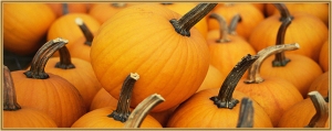 Halloween Pumpkin Crafts